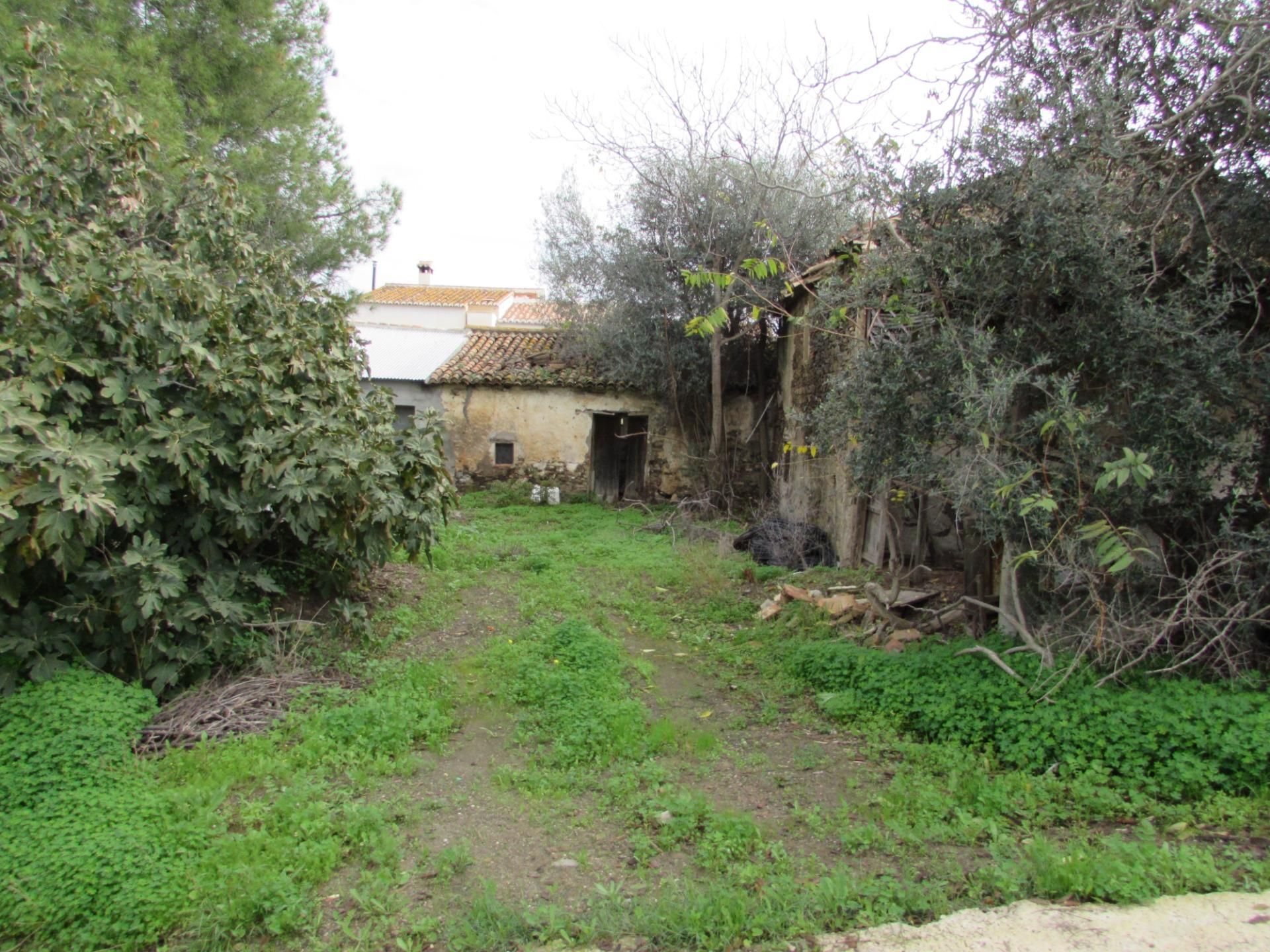 Casa o xalet en venda en Benamocarra amb Jardí privat i Terrassa