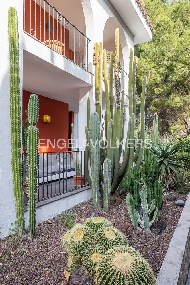 Casa con piscina en venta en El Bosque, imagen 21