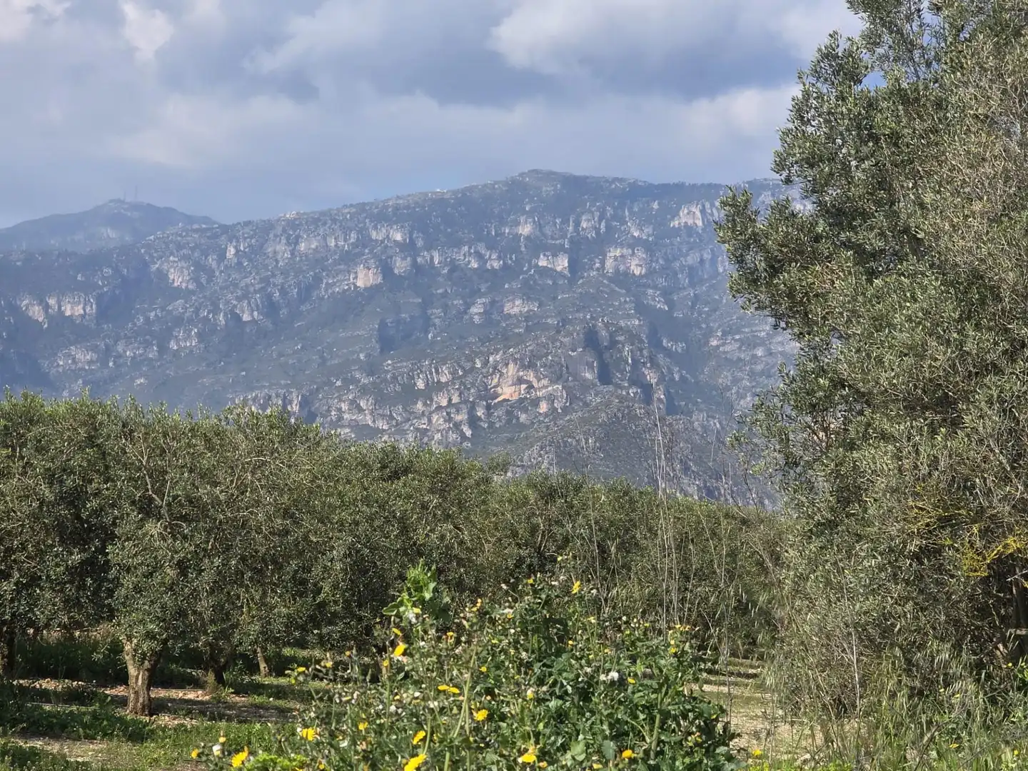 Terreno rustico in vendita a del Polígon Industrial 'La Ravaleta', imagen 13