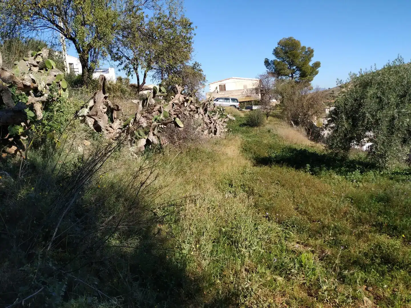 Planta baixa en venda en Cantoria amb Jardí privat, Traster i Balcó