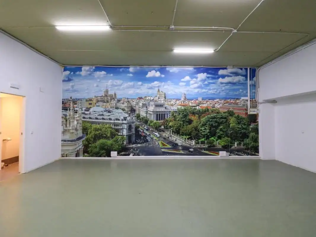 Local comercial en venta en C. Lanzarote, imagen 13