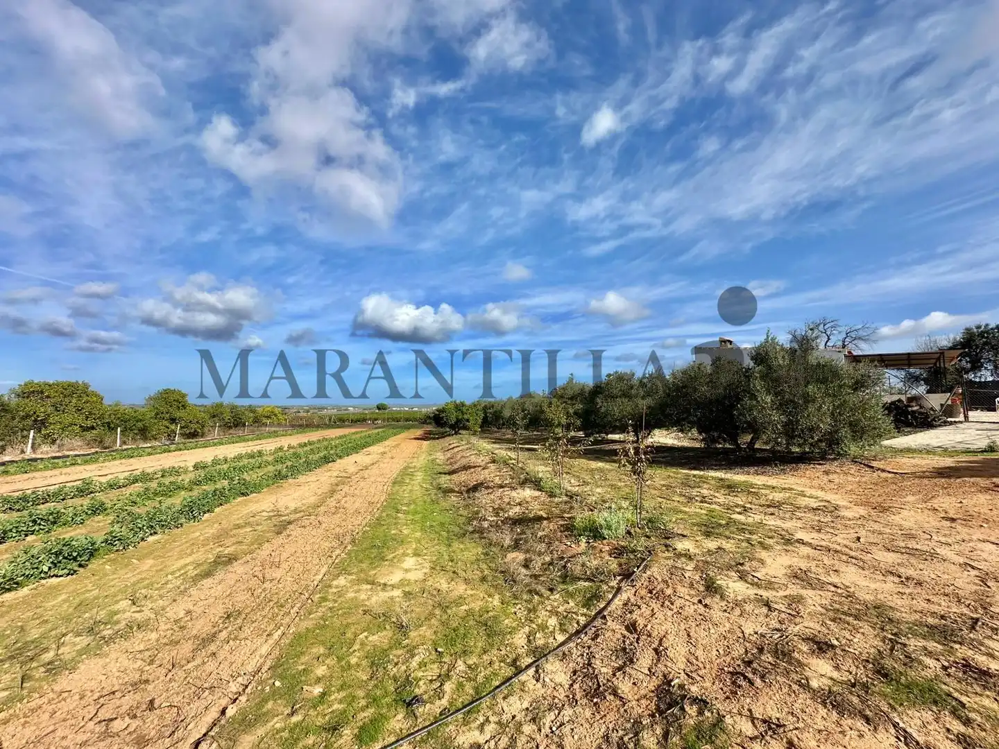 Finca rústica en venta en Lepe con Terraza, Trastero y Amueblado