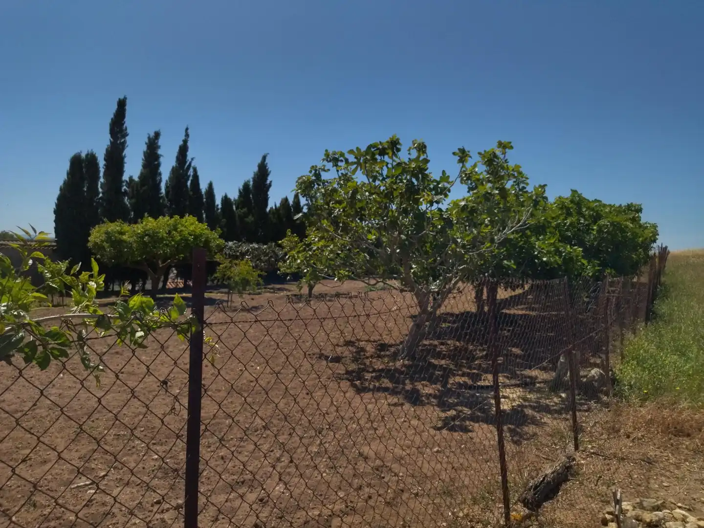 Casa rustica con giardino in vendita a Vejer, imagen 35
