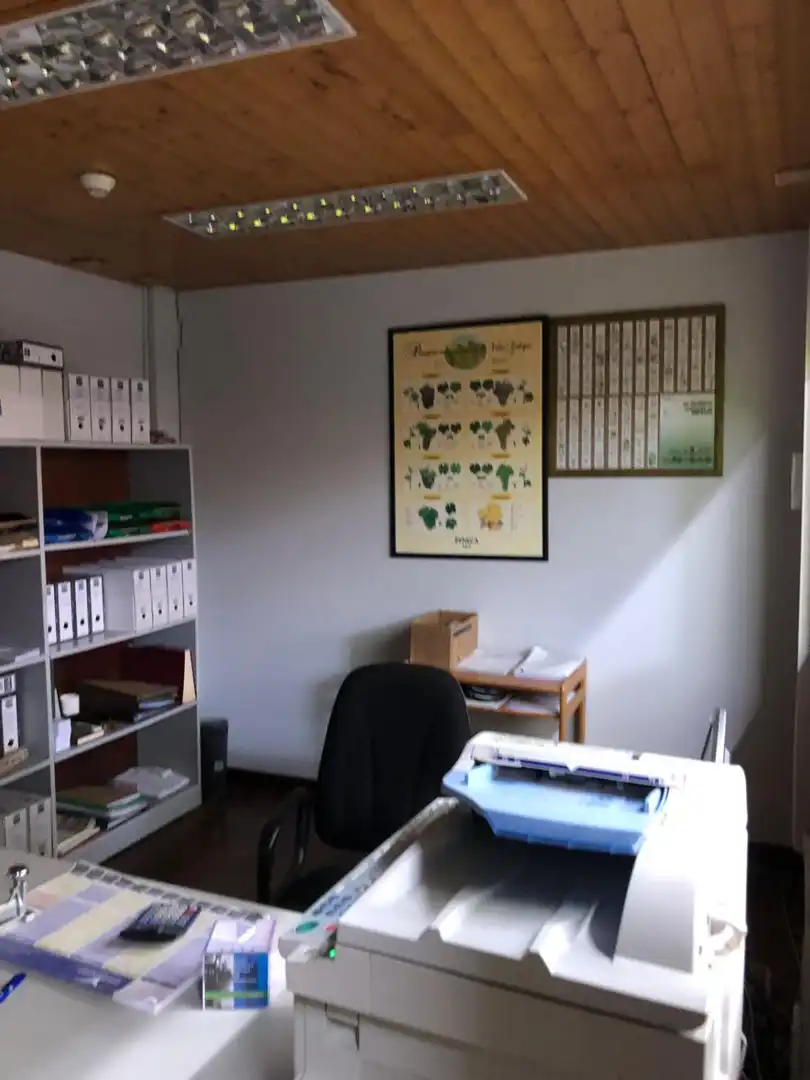 Industrial buildings for rent in Betanzos