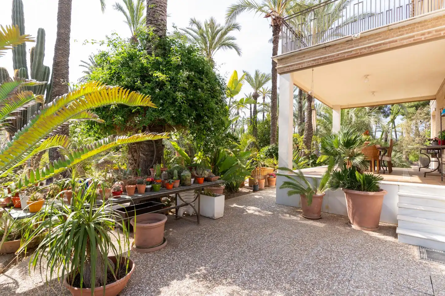 Terrassa de Casa o xalet en venda en Elche / Elx amb Calefacció, Jardí privat i Parquet