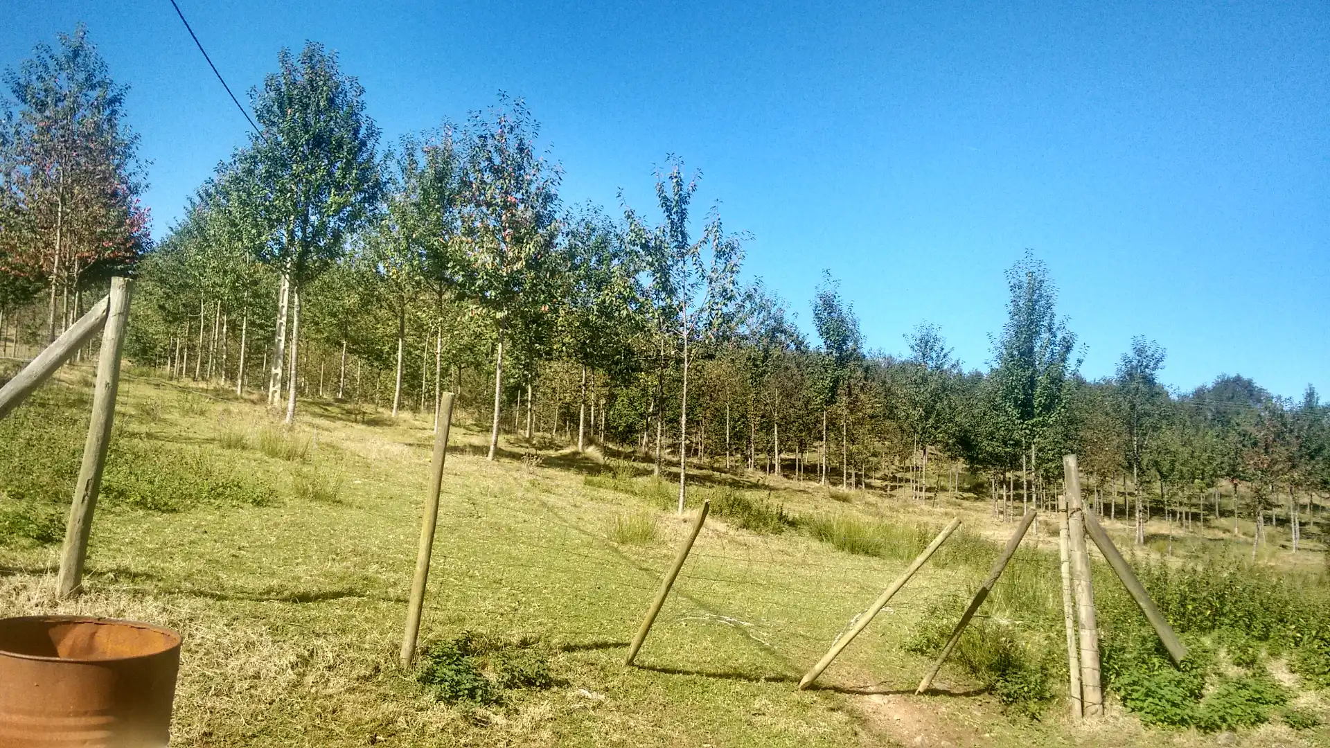Casa o chalet en venta en Valdáliga con Calefacción, Jardín privado y Trastero
