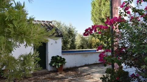 Foto 3 de Finca rústica en venta en Montoro, Córdoba