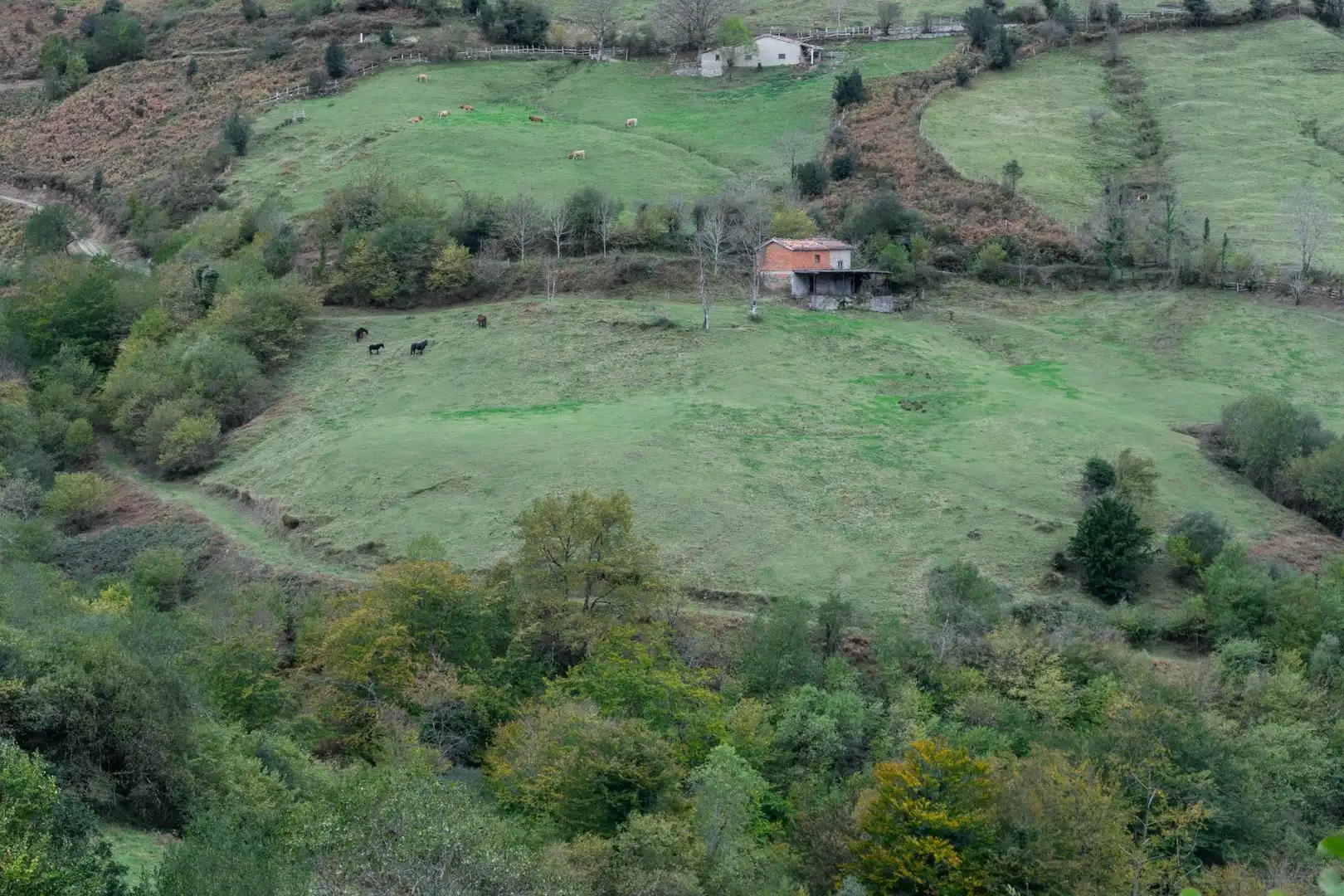 Grundstücke zum Verkauf in Laviana