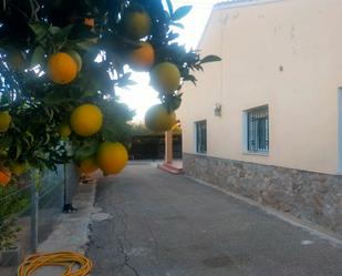 Vista exterior de Casa o xalet de lloguer en Elche / Elx