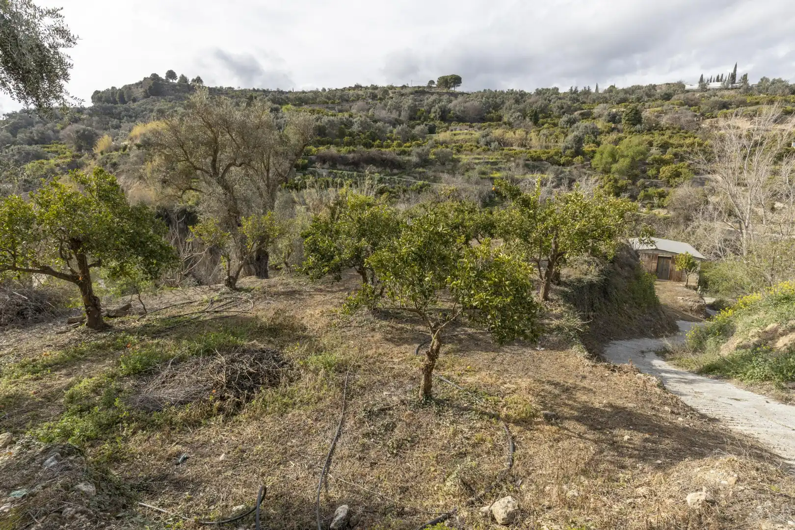 Terreno en venta en El Valle