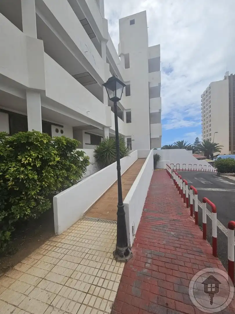 Estudi en venda a Juan Carlos I, Los Cristianos