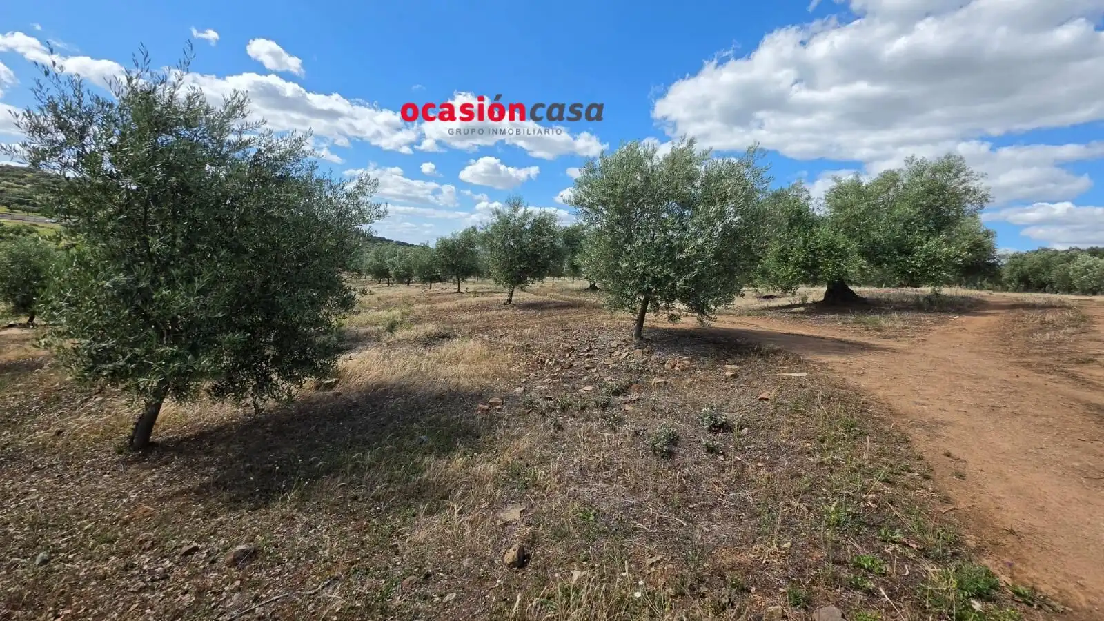 Residential land for sale in Fuente Obejuna, imagen 14