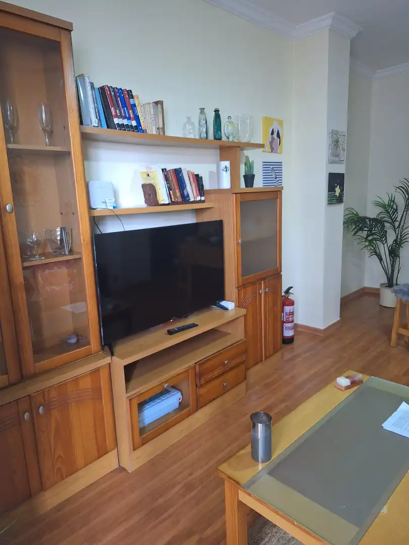 Living room of Apartments for rent in Las Palmas de Gran Canaria  with Parquet flooring, Furnished and Washing machine
