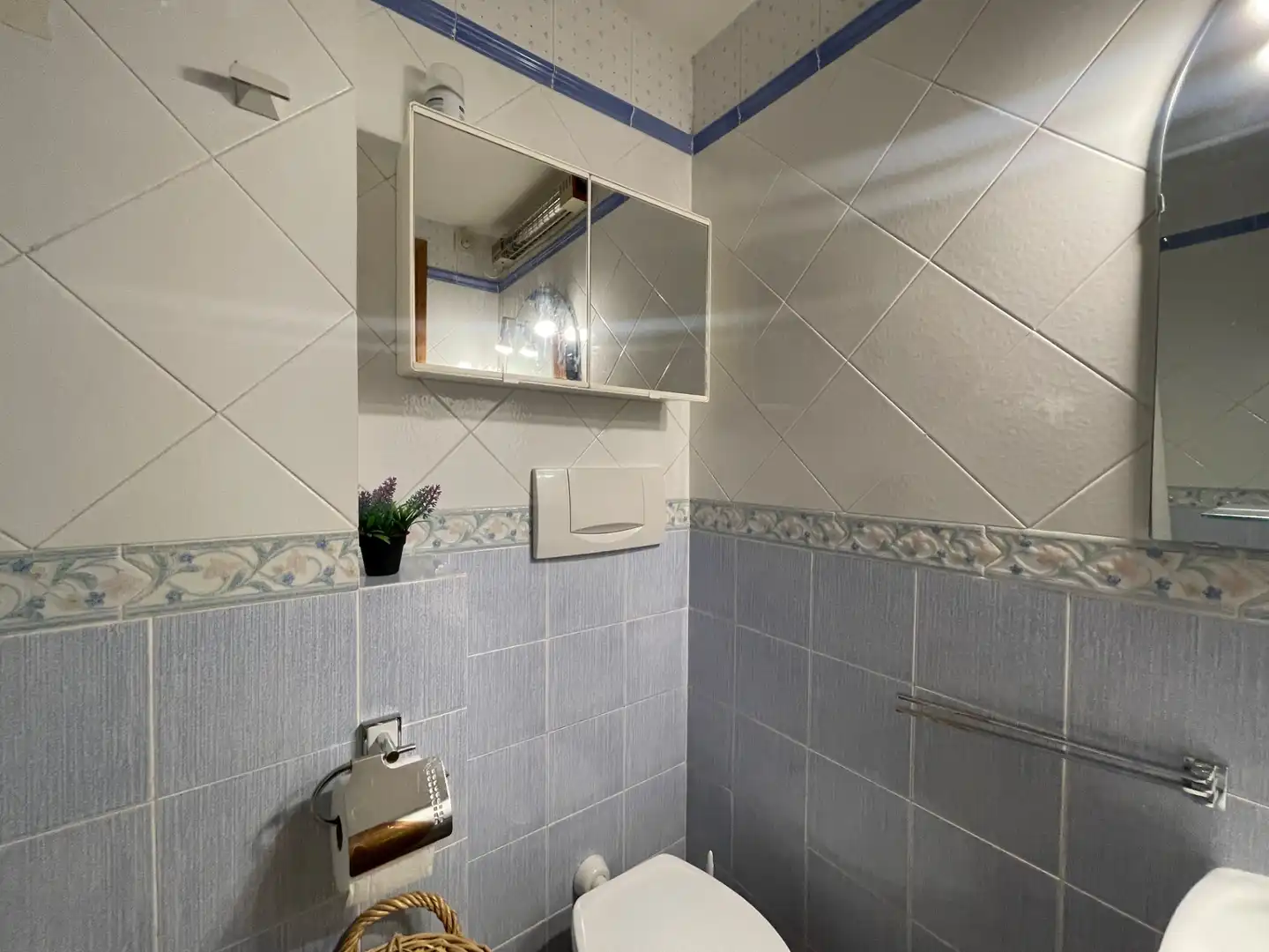 Bany de Àtic en venda en Setcases amb Calefacció, Parquet i Traster