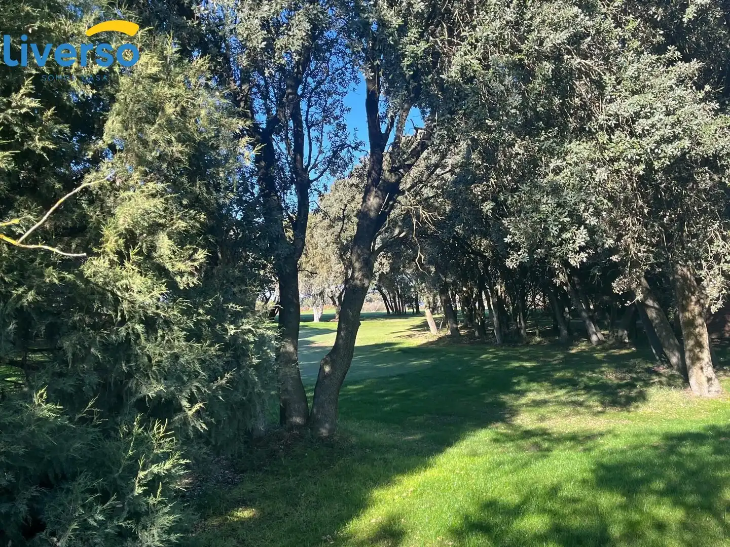 Terreny residencial en venda a Lerma, imagen 8