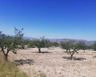 Finca rústica en venda en Jumilla