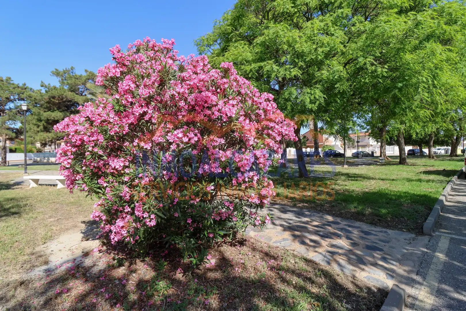 Duplex con giardino in vendita a Los Narejos - Punta Calera, imagen 47