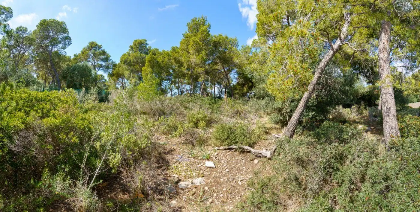 Terreno residencial en venta en Cala Vinyes, imagen 5