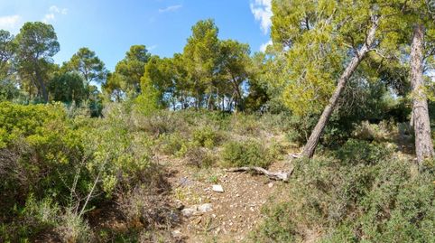 Se vende solar edificable con PROYECTO en Cala Vinyes, imagen 5