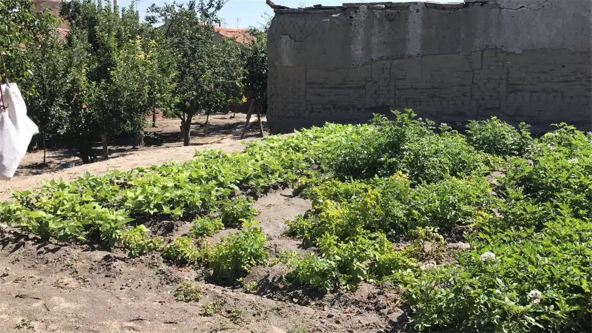 Casa o chalet en venta en Fontiveros con Jardín privado, Amueblado y Horno