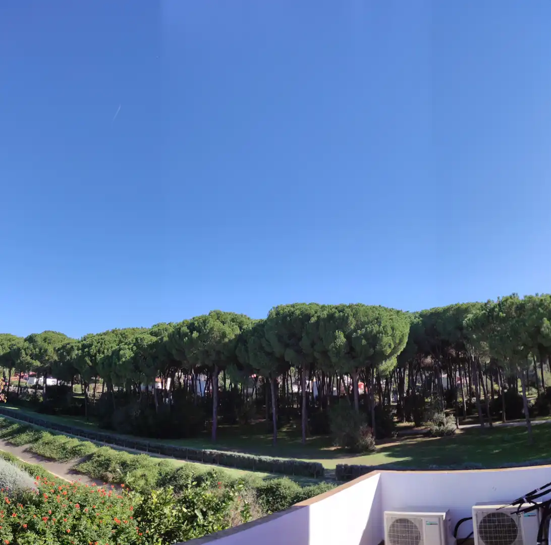 Vista exterior de Casa o chalet en venta en Bollullos de la Mitación con Aire acondicionado, Jardín privado y Terraza