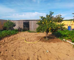 Garden of Residential for sale in El Puerto de Santa María