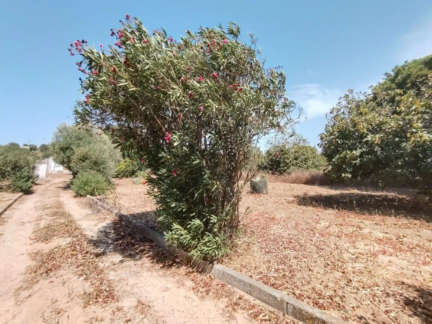 Wohnbaugrundstück zum Verkauf in La Banda - Campo de Fútbol, imagen 2