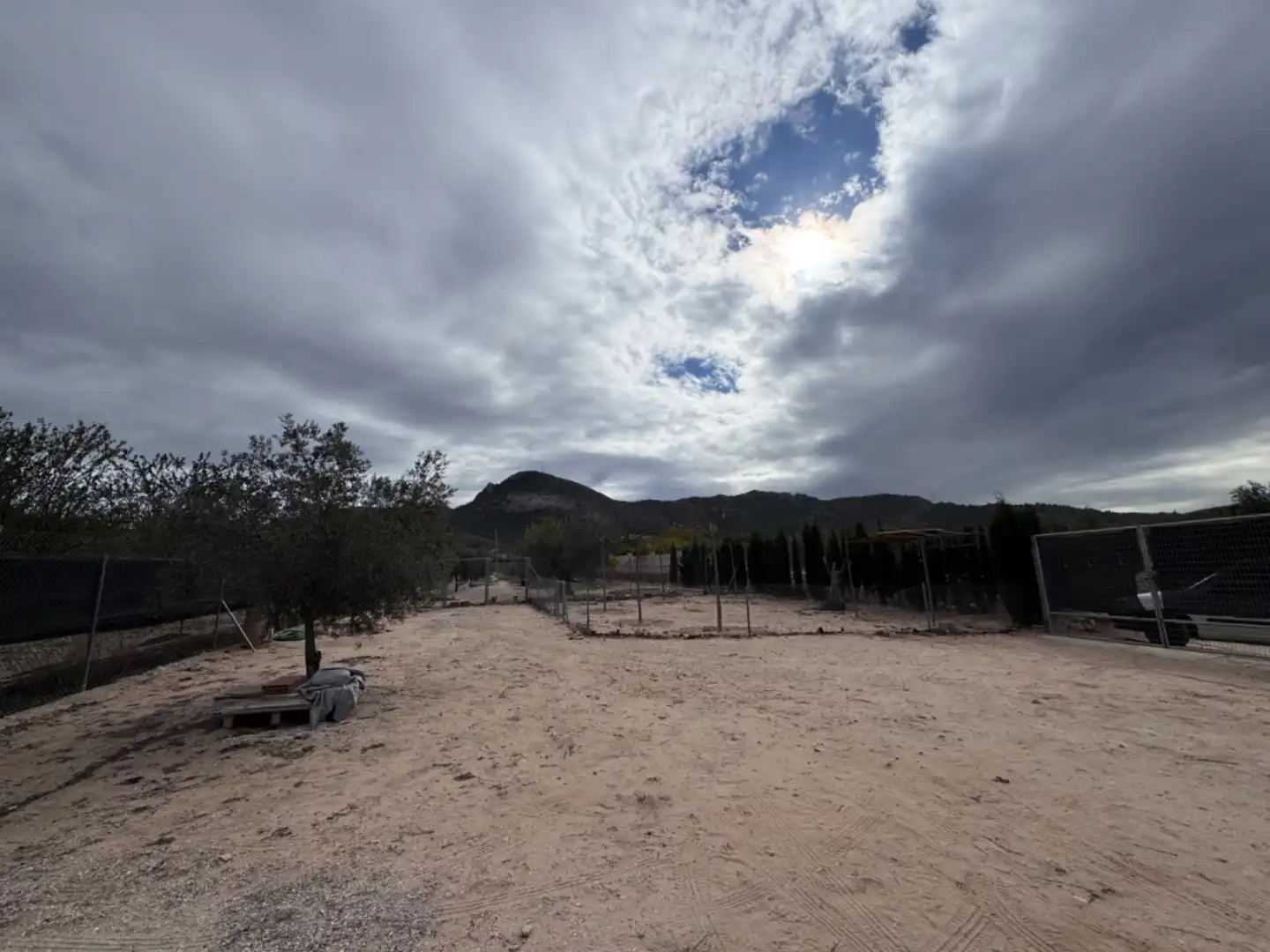 Terreno rústico en venta en Peña Rubia, imagen 9