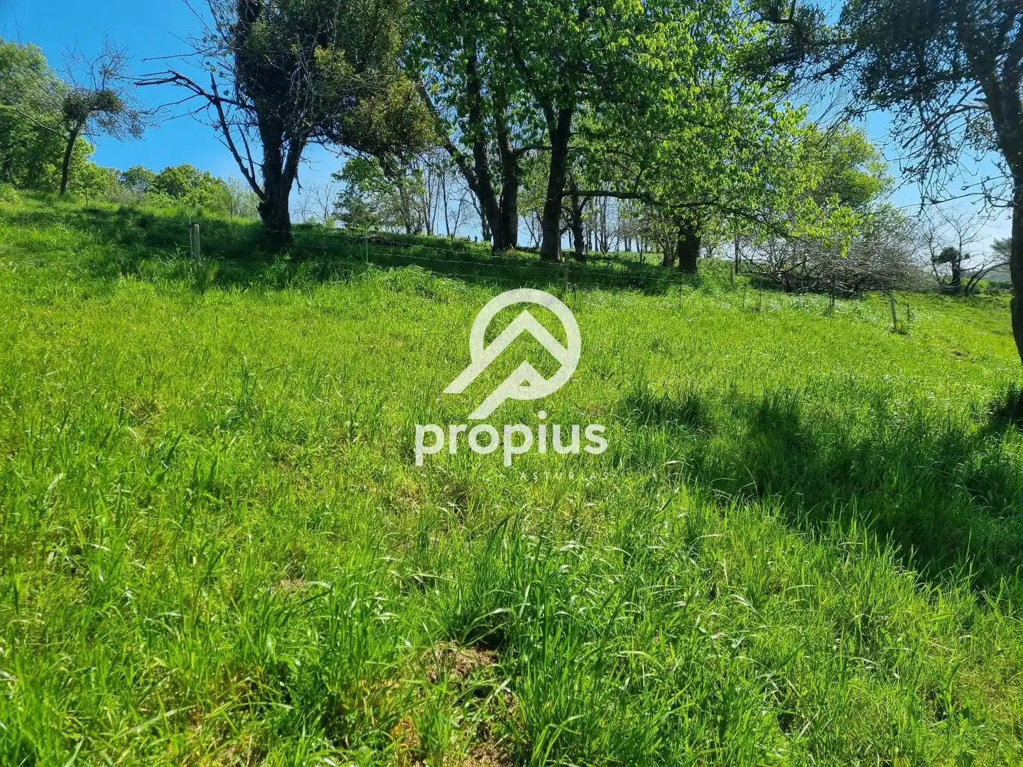 Terreno residencial en venta en EL COLLADO DE SANTO TOMÁS, imagen 3