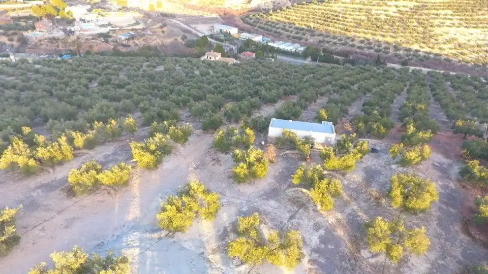 Terreni e lotti in vendita a La Guardia de Jaén, imagen 8