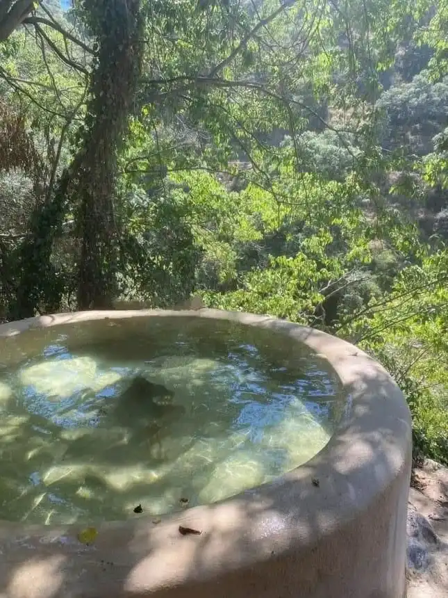 Piscina de Finca rústica en venta en Monda con Aire acondicionado, Jardín privado y Terraza