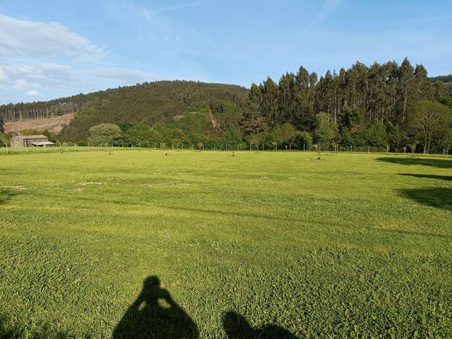 Terreno residencial en Venta en Lugar Castelo en Cesuras