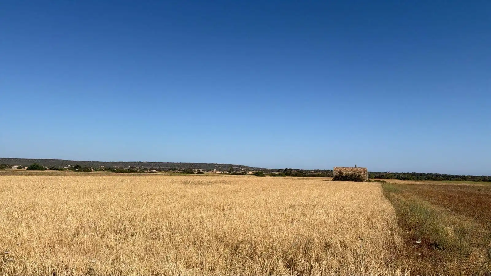 Terreny rústic en venda a Colònia Sant Jordi, imagen 3
