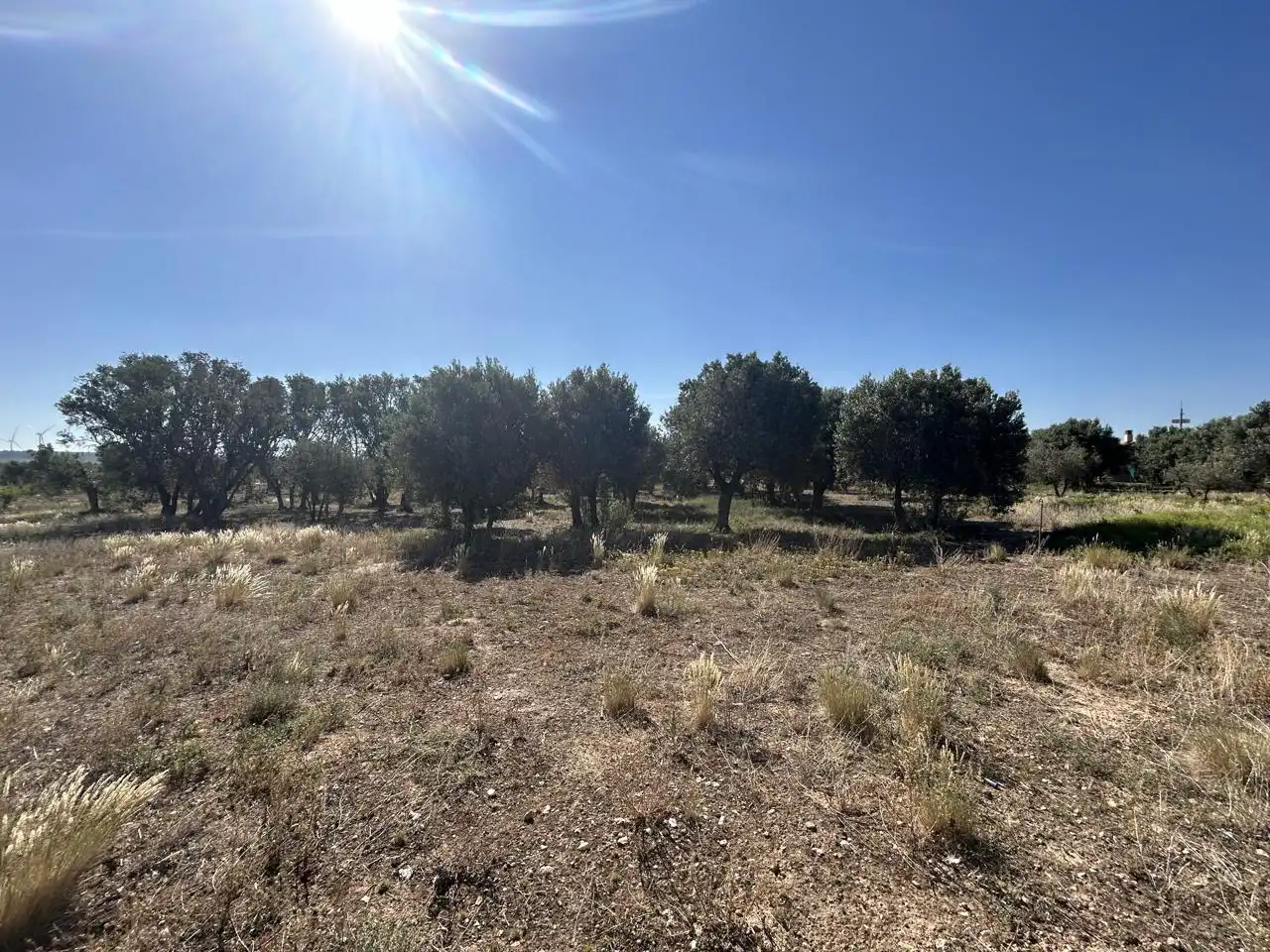 Finca rústica en venta en Ablitas