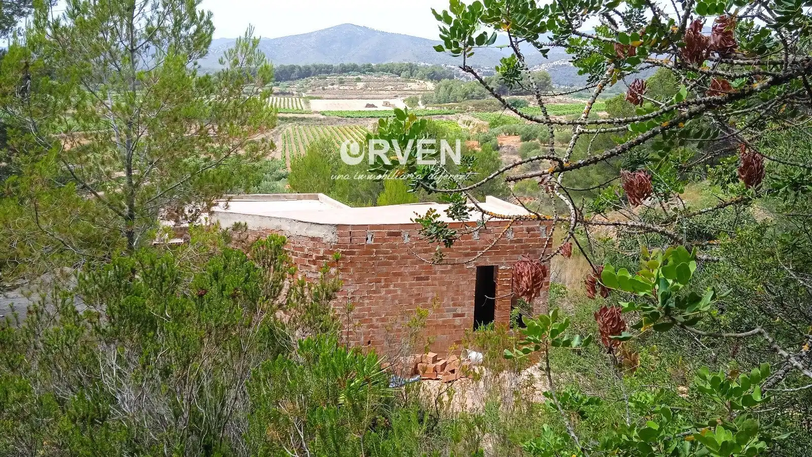 Rural land for sale in Carretera T-240 s/n, imagen 2