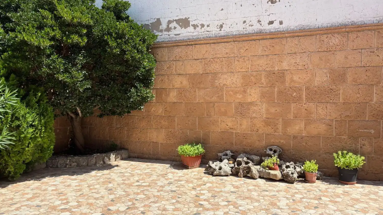 Terraza de Casa o chalet en venta en Vianos con Calefacción y Terraza