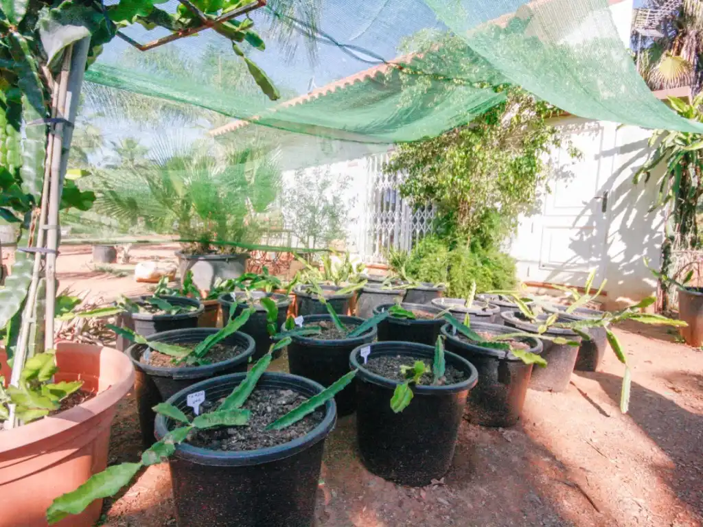 Garden of Houses for sale in Monda
