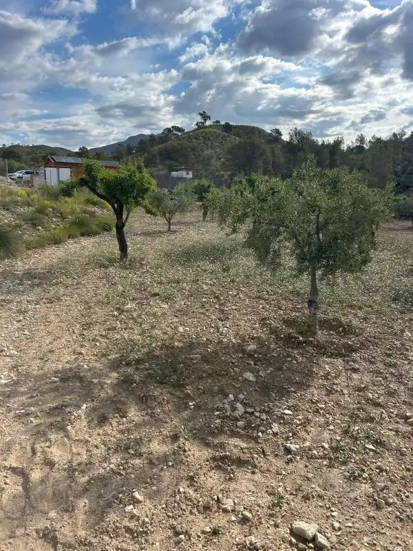 Casa amb terrassa en venda a Diseminado Barinas, imagen 26