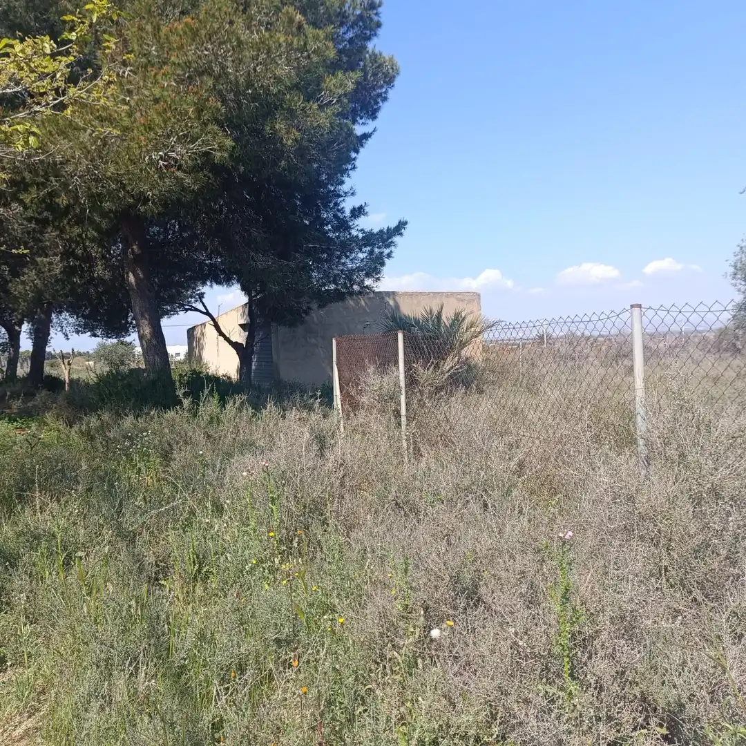 Terrain rustique à vendre à La Marina, imagen 13
