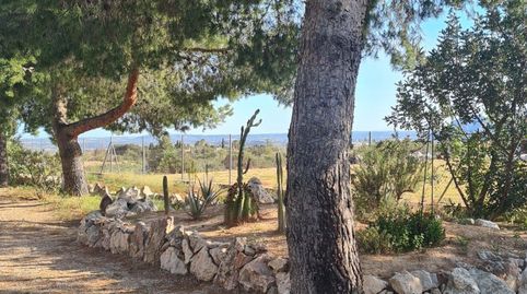Foto 5 de Casa o chalet en venta en Crevillent, Alicante