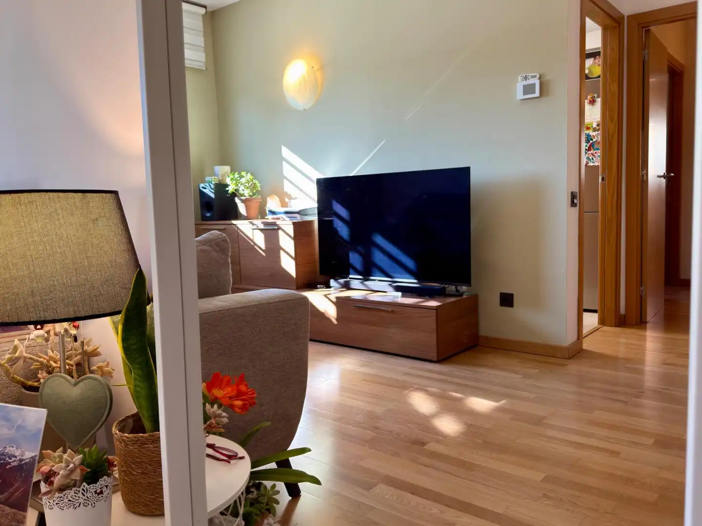 Living room of Flat for sale in Sant Antoni de Vilamajor  with Storage room