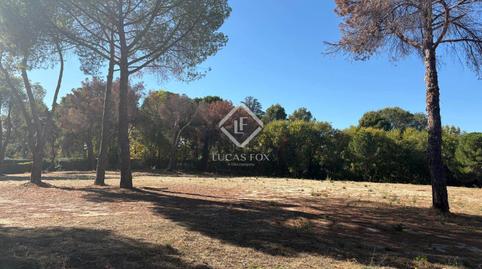 Photo 2 of Land for sale in Urbanización La Moraleja, La Moraleja