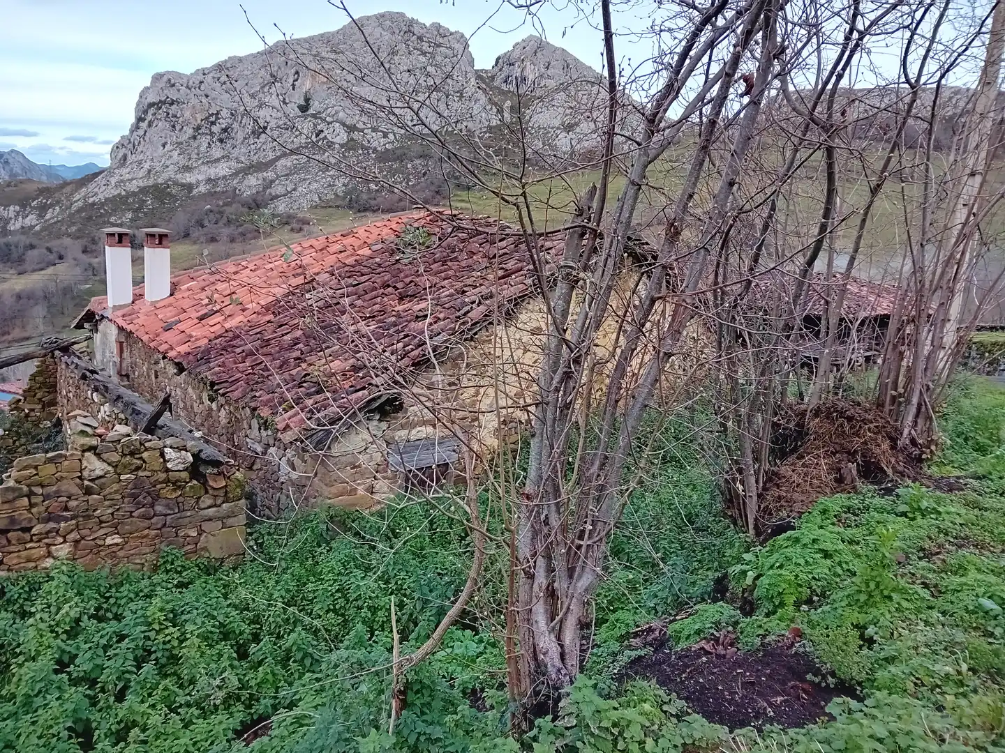 Finca rústica en venta en Amieva