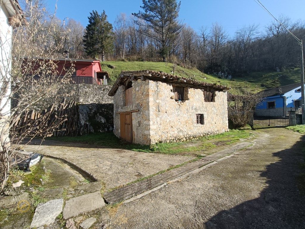 Vista exterior de Casa o xalet en venda en Cangas de Onís