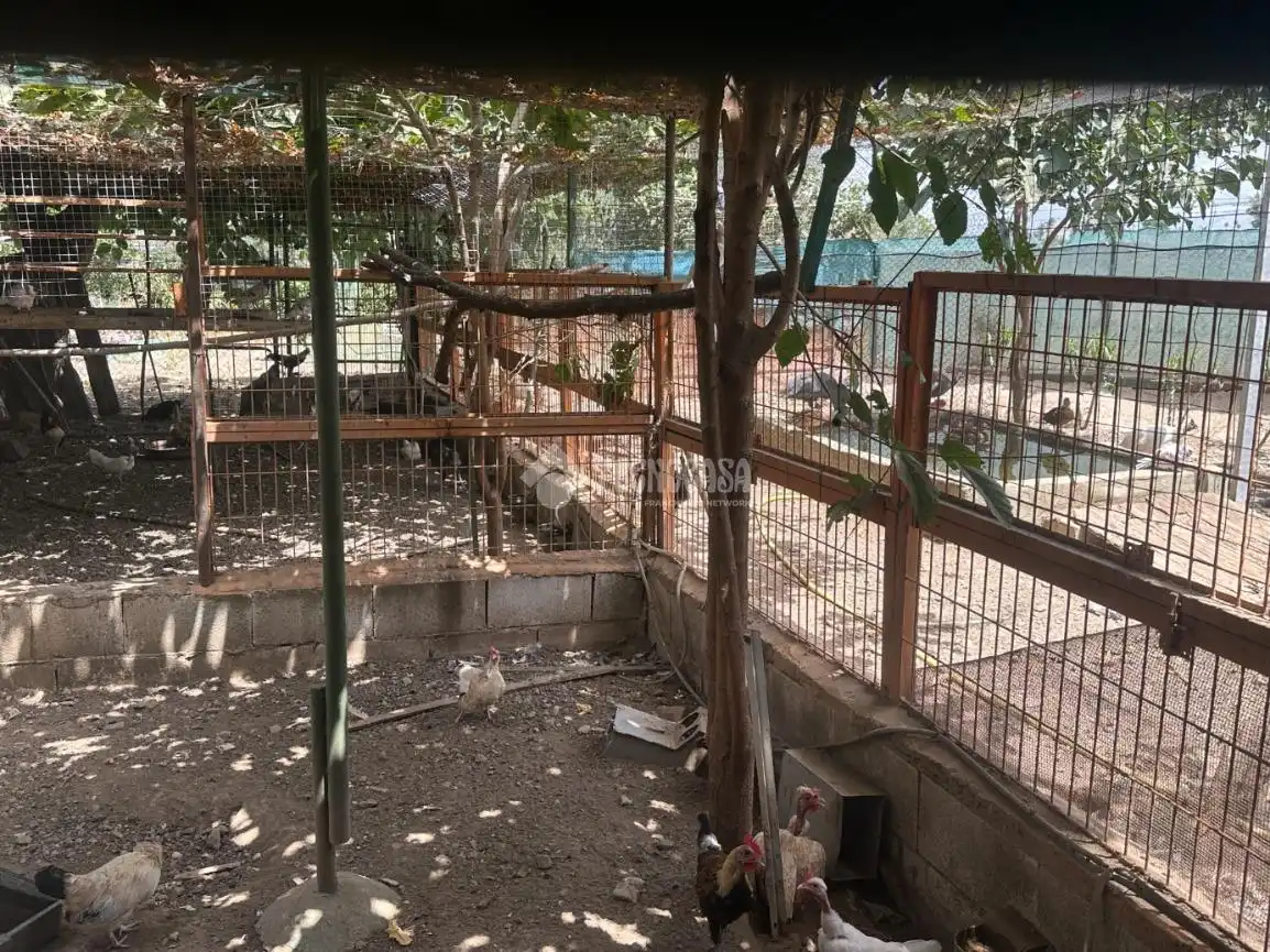 Finca rústica en venda en Alhaurín de la Torre