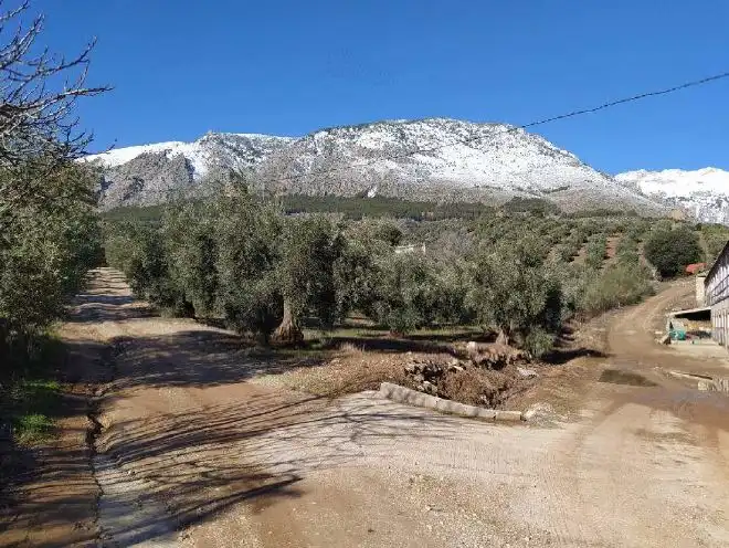 Terreni e lotti in vendita a Cortijo de El Fraile, imagen 6