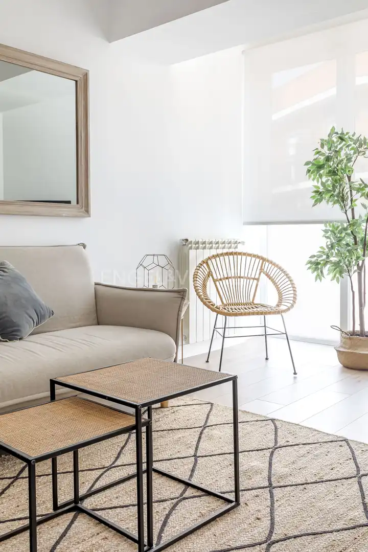 Sala d'estar de Planta baixa de lloguer en Madrid amb Aire condicionat, Calefacció i Moblat