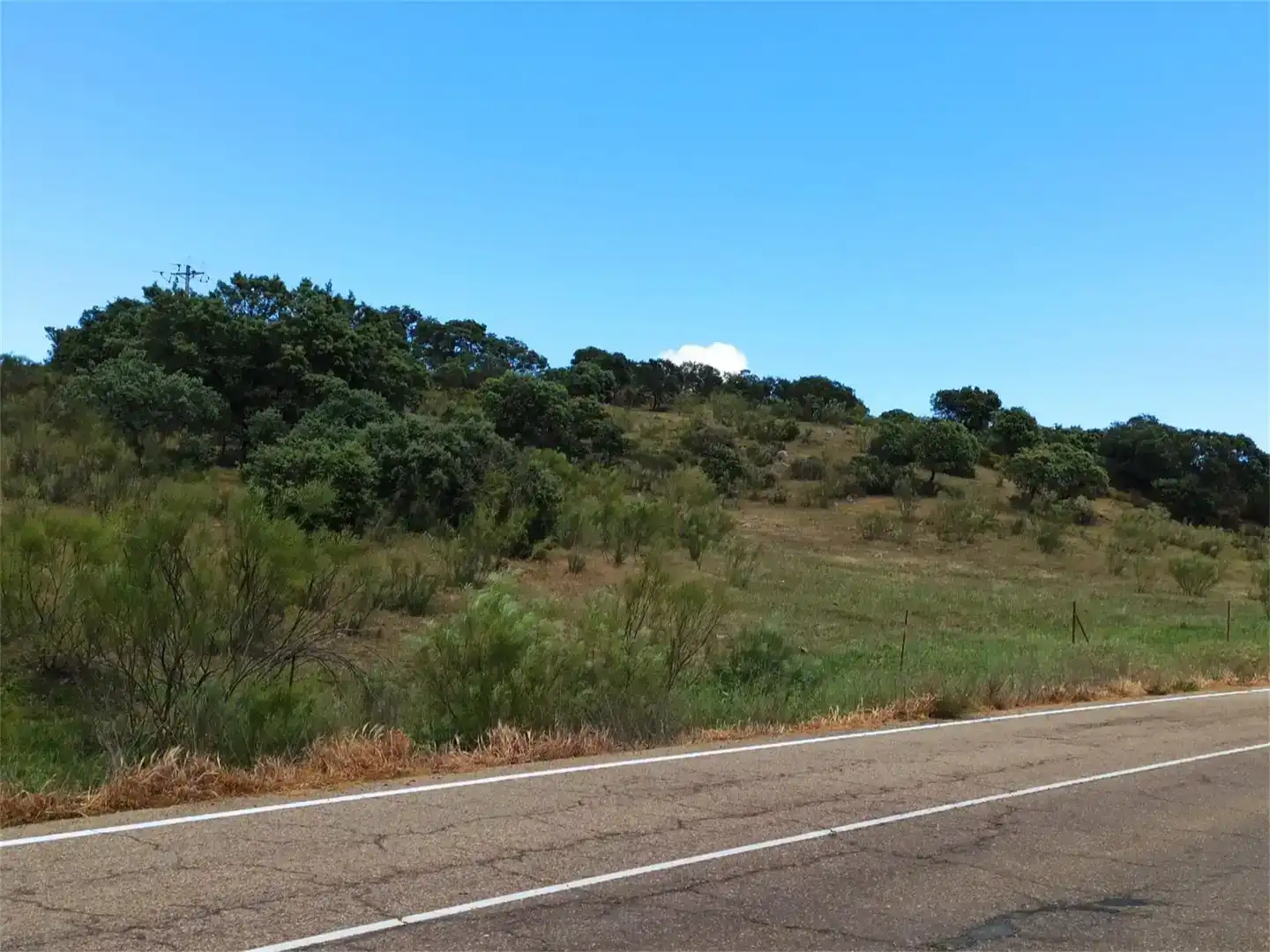 Land for sale in Jaraicejo, Cáceres