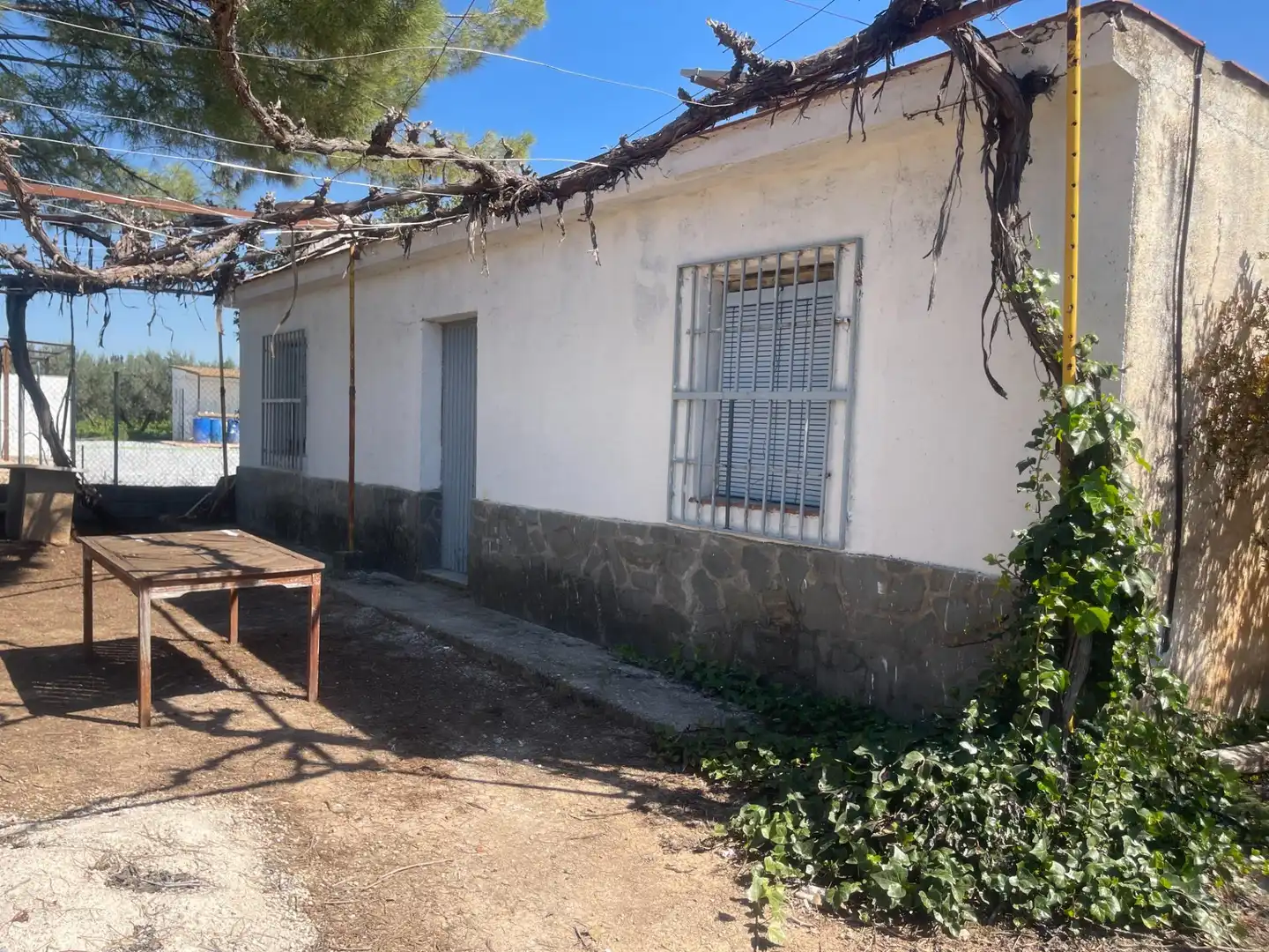 Vista exterior de Finca rústica en venda en Albolote amb Piscina