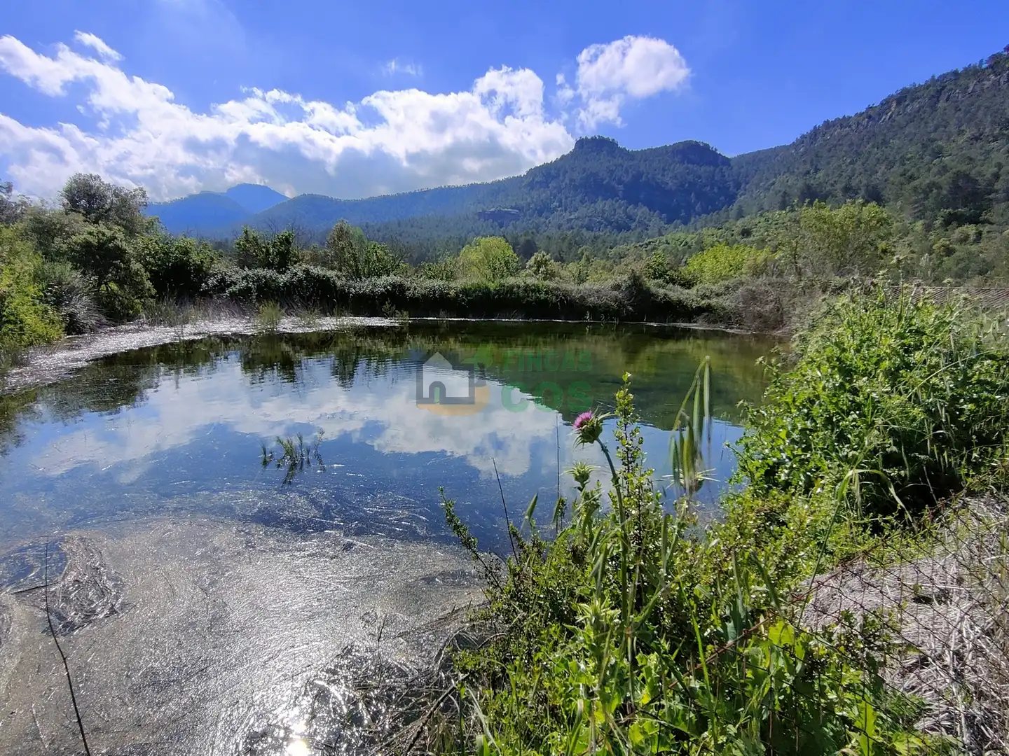 Casa amb jardí en venda a Marçà